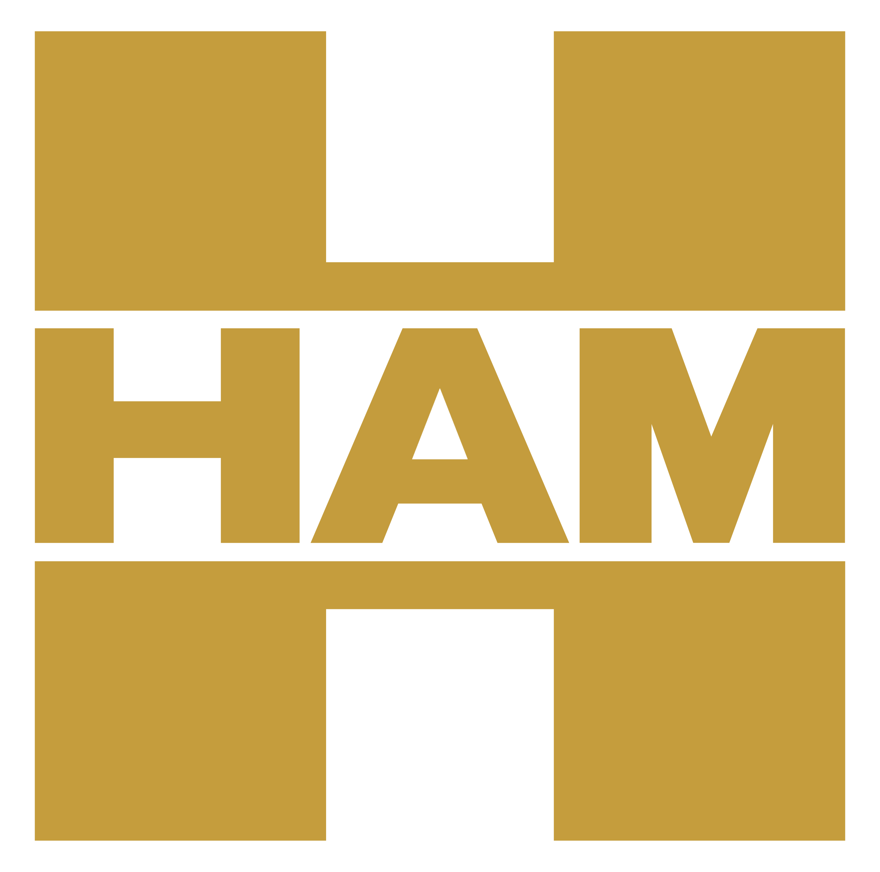 Grupo HAM