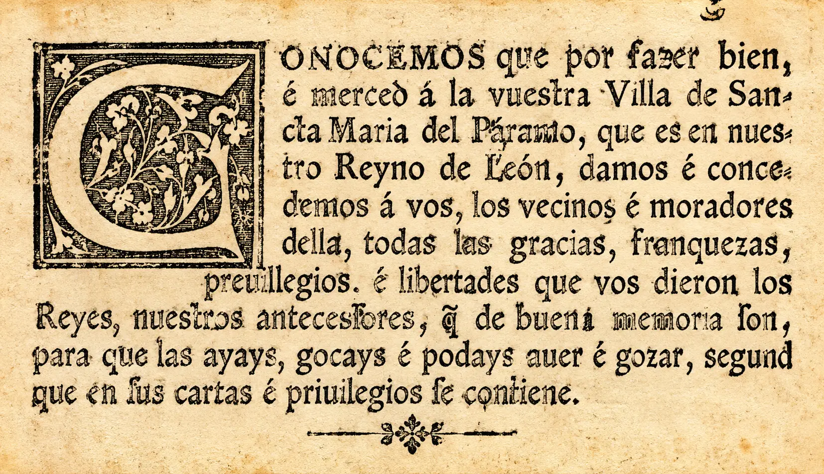 pergamino 02
