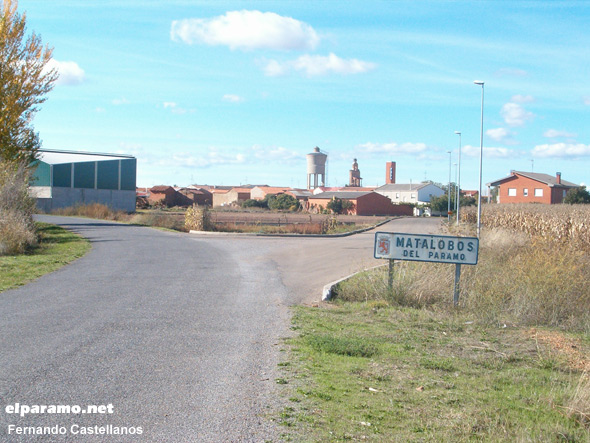 Matalobos del Páramo