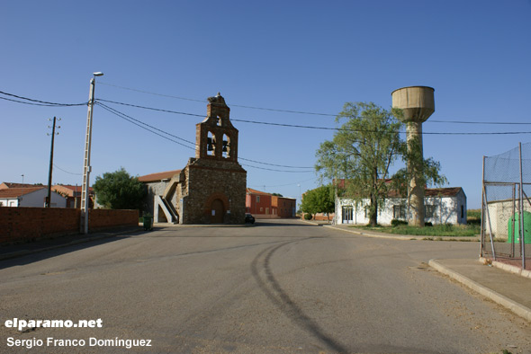 Moscas del Páramo