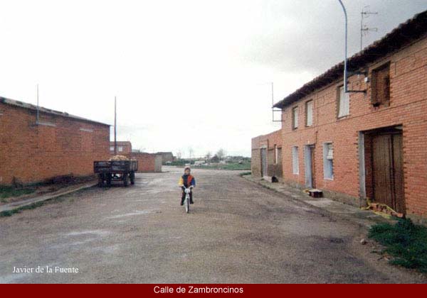 Zambroncinos
